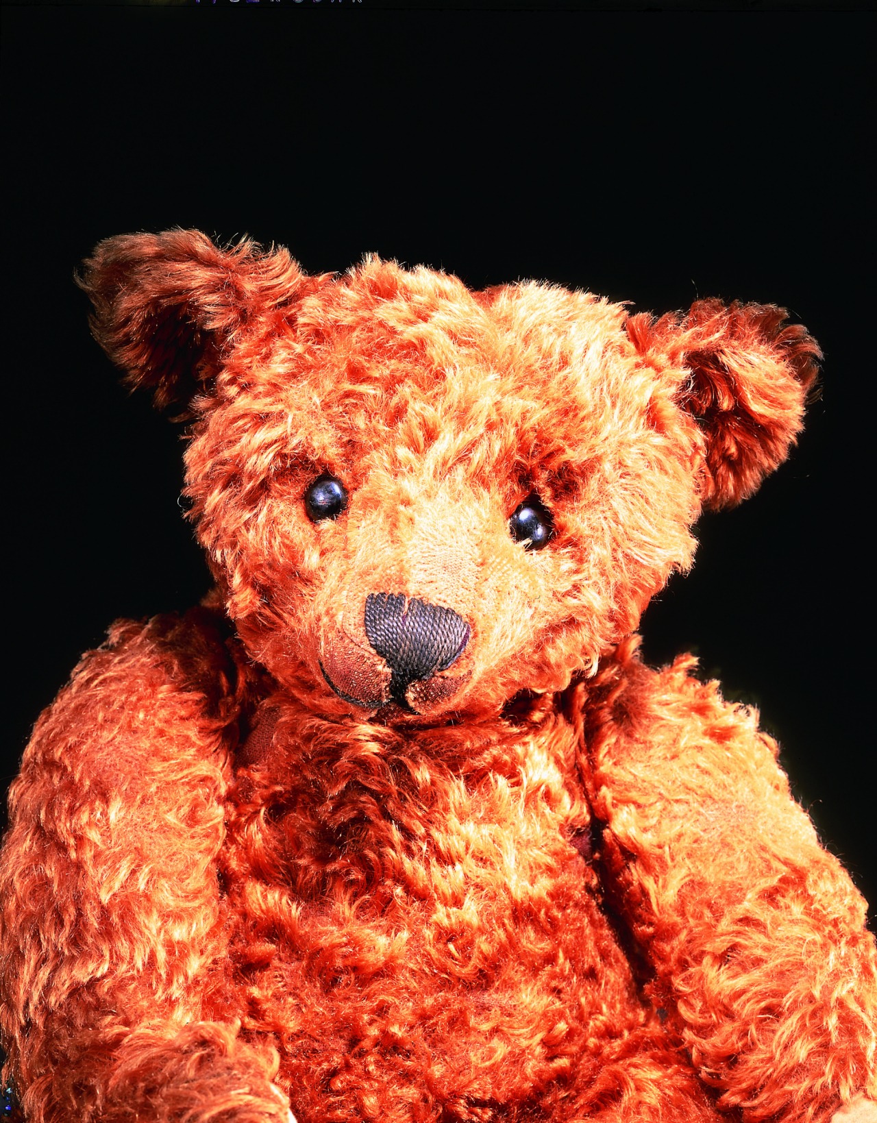 Izu Teddy Bear Museum