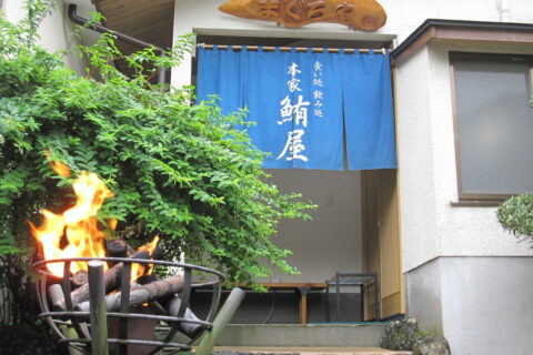 Honke Maguroya