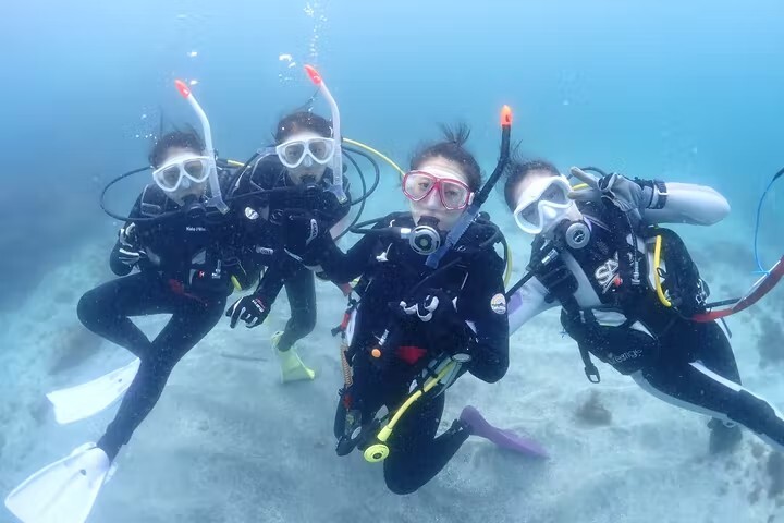 Dive Healing（ダイブヒーリング）