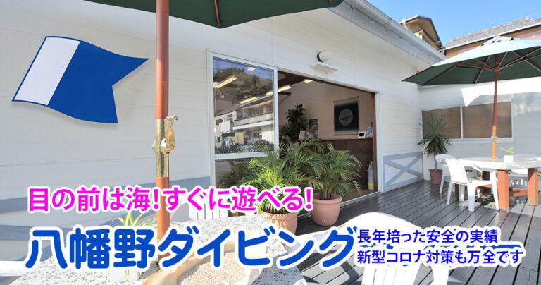 八幡野ダイビングセンター
